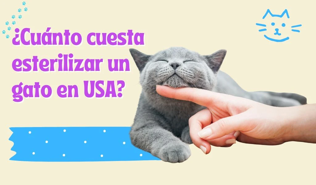 ¿Cuánto cuesta una consulta al Veterinario