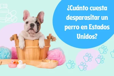 Cuánto cuesta desparasitar un perro en Estados Unidos