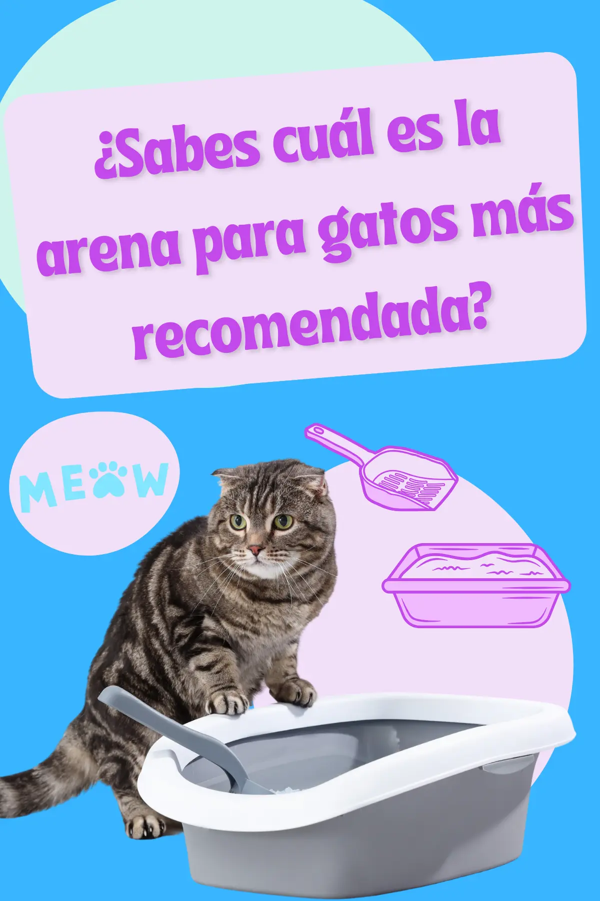 Arena recomendada para gatos