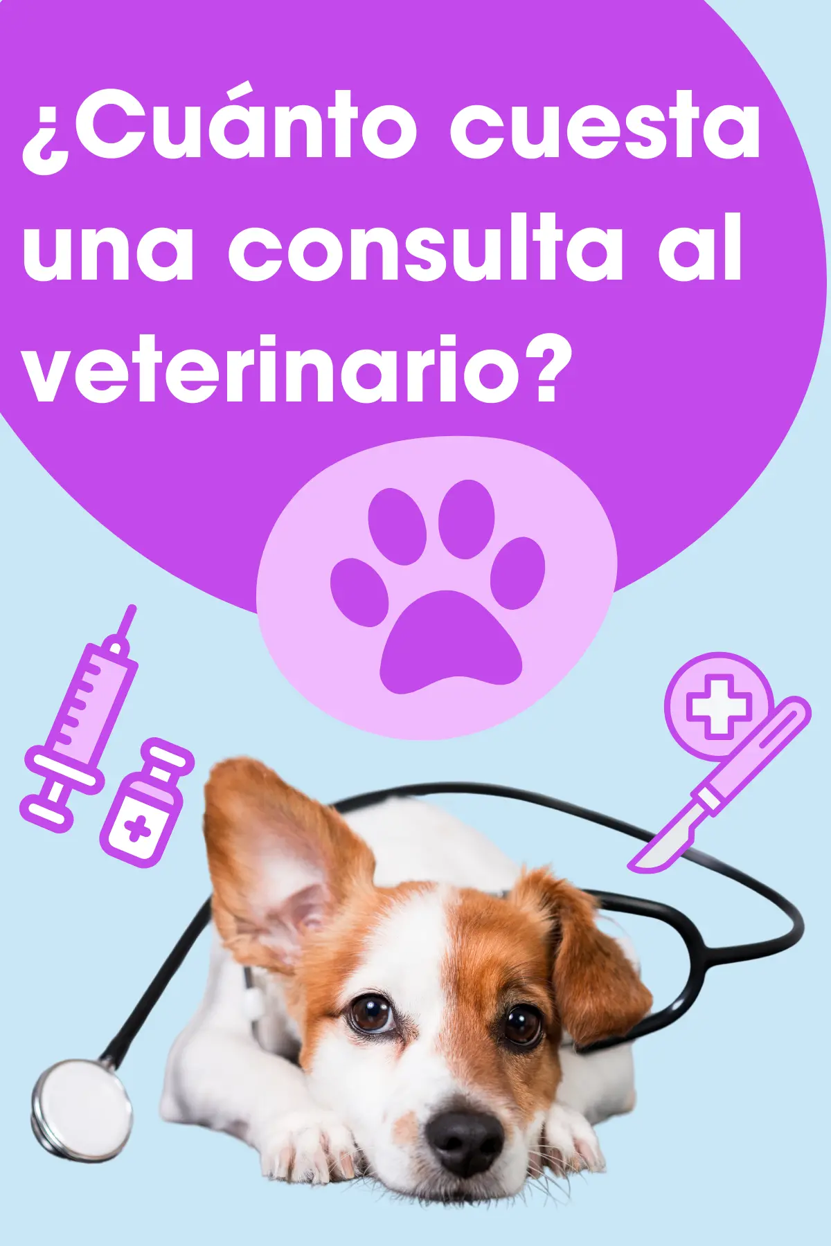 Costo consulta veterinario