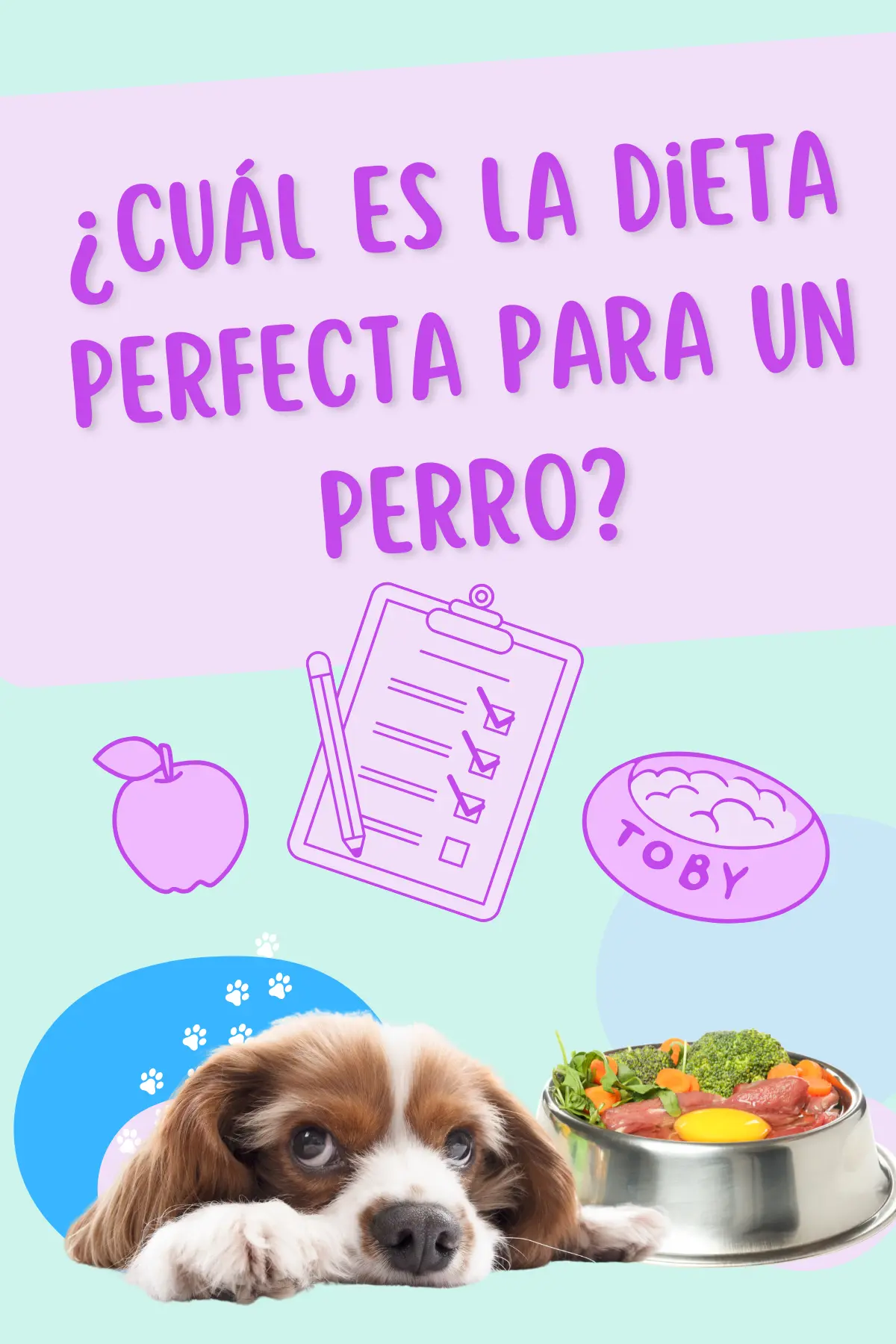 Dieta perfecta para perros
