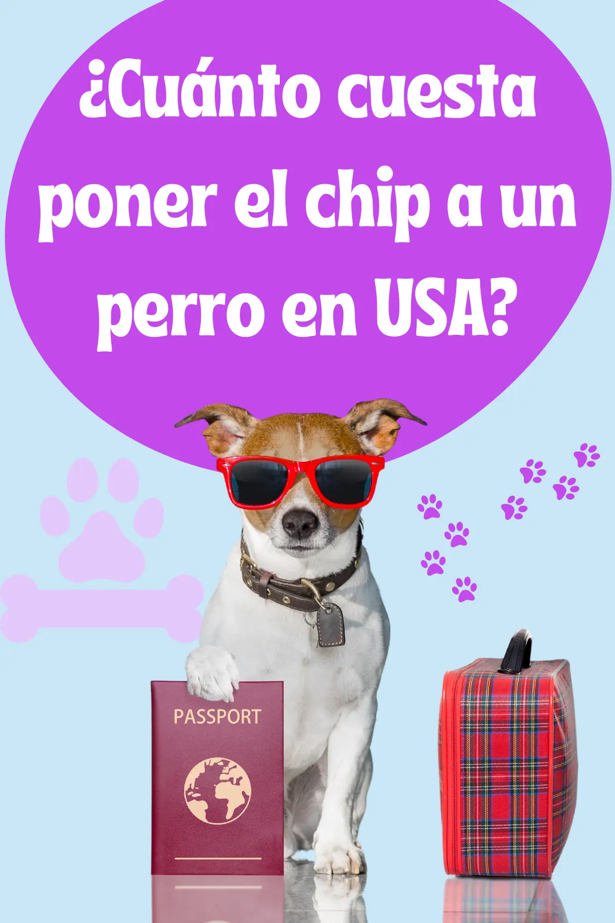 Costo del chip para perros en USA