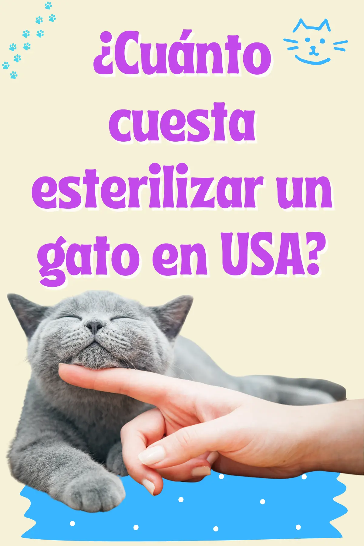 Costo esterilización gato en USA