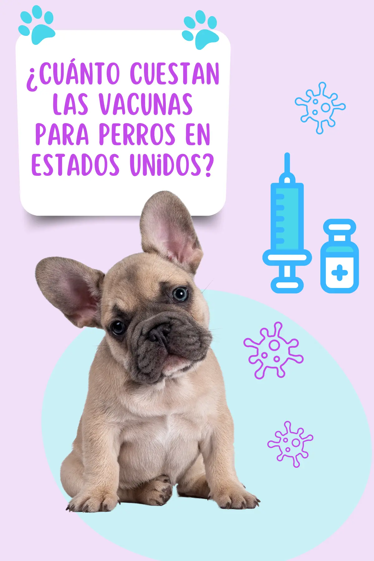Costo vacunas perros en Estados Unidos