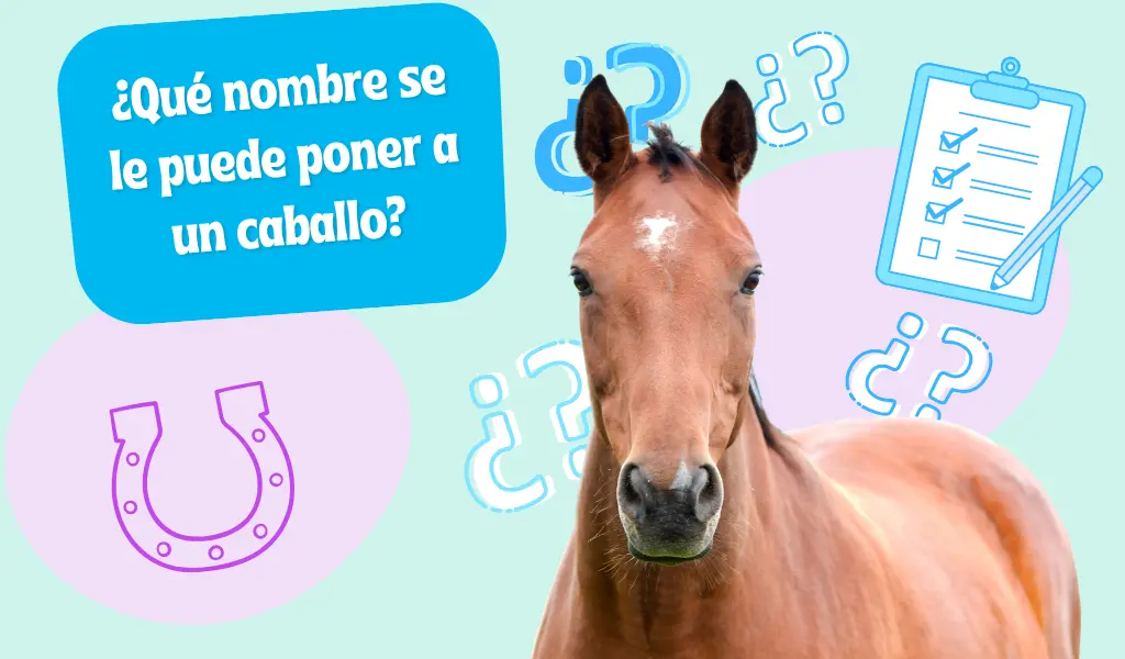 que nombre se le puede poner a un caballo